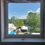 Apartment Lux Mewa