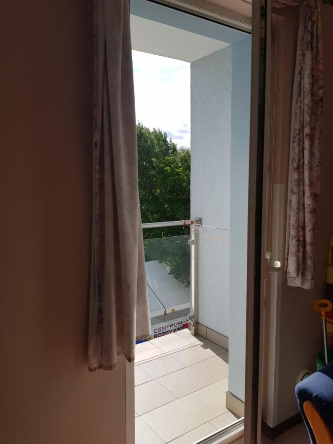 Lux Mewa Apartament *